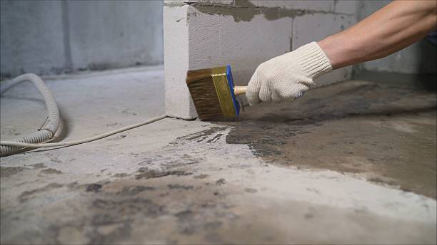 SJ Waterproofing Pros Waterproofing coverage map for Chase, MI and surrounding area